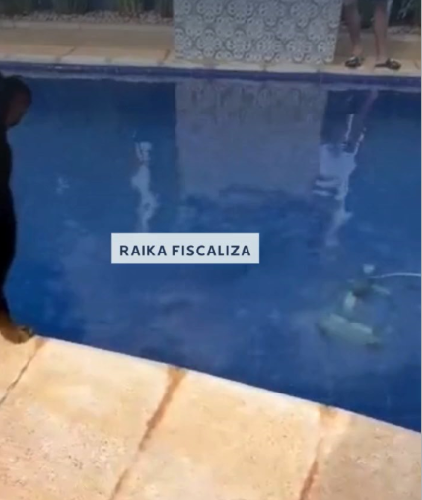 Stories robô manutenção piscina